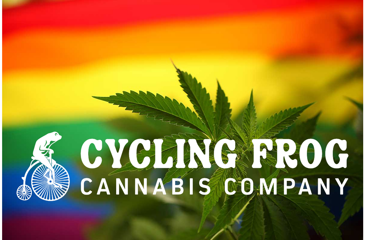 Why We Celebrate: Cannabis, Community, and Pride 🏳️🌈