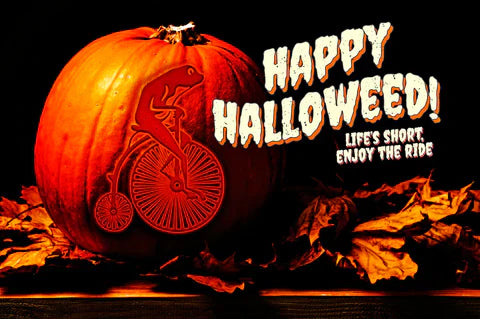 Curating the Perfect Spooky Season Party With Cycling Frog
