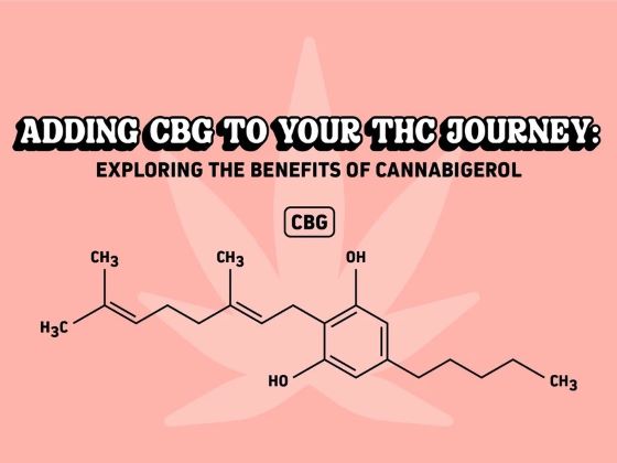 Adding CBG to your THC Journey: Exploring the benefits of Cannabigerol